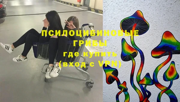 дурь Ладушкин