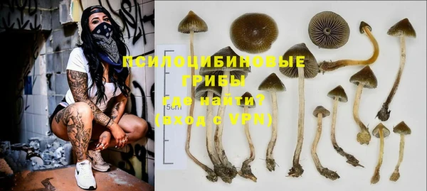 прущая мука Арсеньев