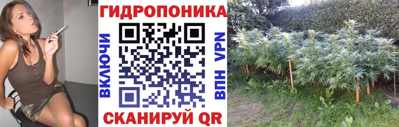 blacksprut ССЫЛКА Камбарка МАРИХУАНА планчик